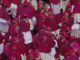 Cei salta testo finale su donne coppie gay e trasparenza Assemblea generale rinviata