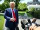 Dazi Usa Trump Accordo con lIndia. E arriva lo sconto per le auto