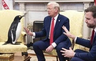 Dazi perche Trump tassa foche e pinguini La versione Usa
