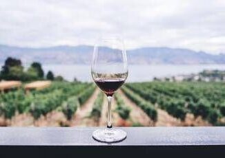 Dazi tra timori e nuove strategie dal mondo del vino le testimonianze dei Consorzi da Nord a Sud
