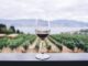 Dazi tra timori e nuove strategie dal mondo del vino le testimonianze dei Consorzi da Nord a Sud