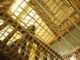 Guinea Bissau arrestata unattivista italiana e in carcere da 5 giorni
