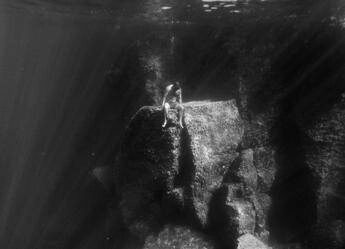 In mostra a Roma Le Tresor du Poisson e Riviera Ludica di Viola Damiani
