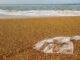 Indagine Beach Litter peggiorato il grado di pulizia delle spiagge