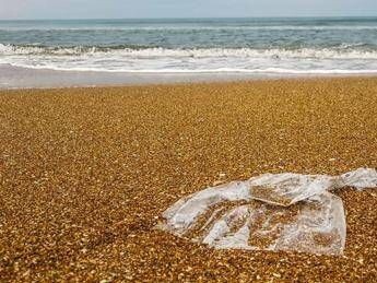 Indagine Beach Litter peggiorato il grado di pulizia delle spiagge