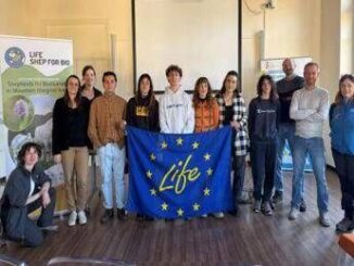 Mestieri otto giovani aspiranti pastori a scuola di pascolo