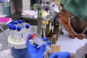 Mieloma multiplo, in Italia primo anticorpo bispecifico con target Gprc5d