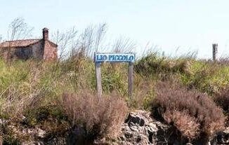 Nella laguna di Venezia ostriarium con 300 gusci di ostriche