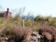 Nella laguna di Venezia ostriarium con 300 gusci di ostriche
