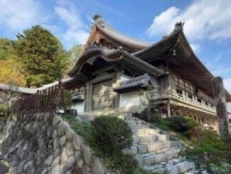 Papa la tristezza dei monaci Zen delle montagne anche il Giappone lo piange