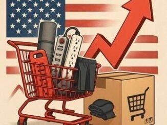 Prezzi Temu raddoppiati dai dazi di Trump i piu colpiti