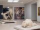 Rauschenberg celebrato al Museo del Novecento di Milano