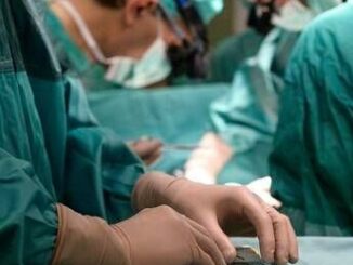 Ricerca al Bambino Gesu fegati tenuti in vita per studi su malattie metaboliche
