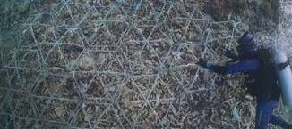 Ripristino barriere coralline su Prime Video il documentario Reef Builders