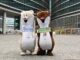 Road to Milano Cortina 2026 lorgoglio di un sogno italiano