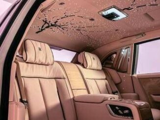 Rolls Royce Phantom Cherry Blossom unopera darte su quattro route