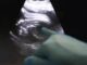 Trapianti Uk Amy prima bimba nata da donazione di utero da vivente