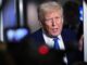 Trump Sto salvando lUcraina guerra con Russia sta per finire