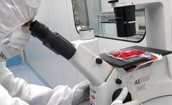 Tumori, in 5 anni di Car-T curati 1.800 italiani: “Il viaggio continua destinazione futuro”