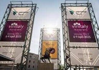Vinitaly Ismea Vino ruolo di punta sui mercati in 10 anni 50 valore export