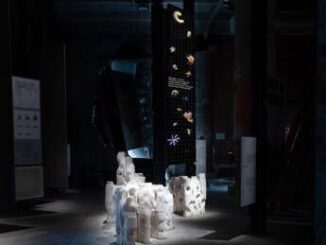 Alla Biennale Architettura Sea Oasis il mare diventa creativita