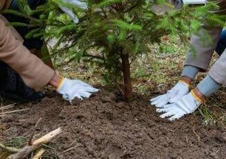 Ambiente e inclusione la responsabilita sociale fa bene a territori e comunita
