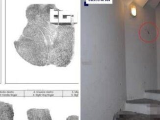 Caso Garlasco genetista Capra frena Con metodo pm si riapre tutto anche delitto di Yara