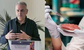 Domani e lHamburger Day meglio naturale o sintetico Risponde il medico nutrizionista