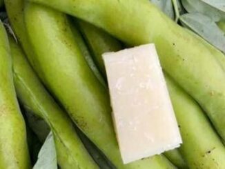 Favismo per 400mila italiani rischi anche da farmaci e infezioni