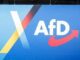 Germania intelligence Afd partito estremista di destra