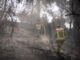 Israele ancora in fiamme Netanyahu 18 arresti per sospetto incendio doloso