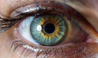 Medicina in Abruzzo prima terapia genica per la maculopatia