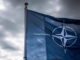 Nato Rutte chiede piu soldi per difesa. Lituania Armarsi o imparare il russo