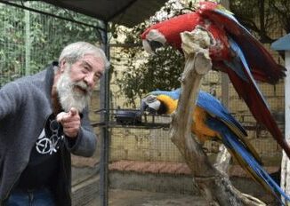 Palermo rubati due pappagalli dal rifugio dei gatti