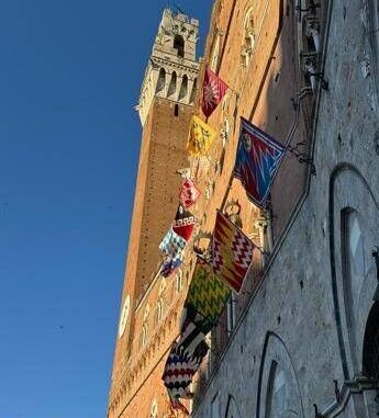 Palio di Siena, estratte Lupa, Oca, Bruco, Valdimontone e Pantera