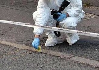 Parma grave donna accoltellata dal marito davanti ai figli lui scappa e si schianta con lauto