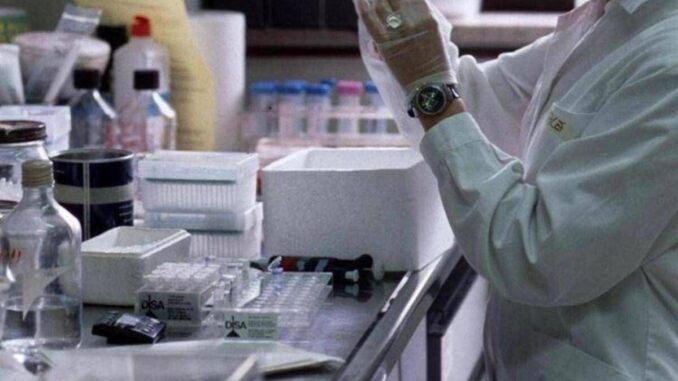 Ricerca, Gasbarrini (Cattolica): “Urge un sistema più agile e formazione dedicata”