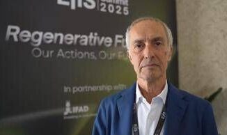 Sostenibilita Tapella Uiops In Italia il 95 dellolio di palma e certificato sostenibile