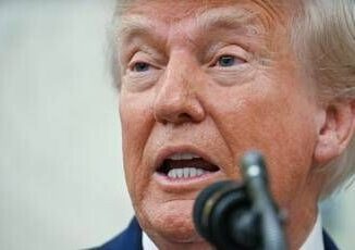 Trump i dazi e Taco perche la parola fa arrabbiare il presidente