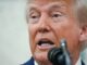 Trump i dazi e Taco perche la parola fa arrabbiare il presidente