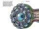 Visione bionica sensori ispirati agli insetti aprono nuove frontiere per lAI e la Scienza