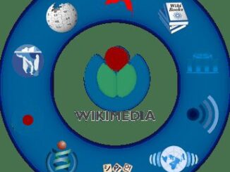 Wikipedia e il sostegno al patrimonio culturale italiano