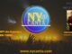 NYCanta - da Telti a New York
