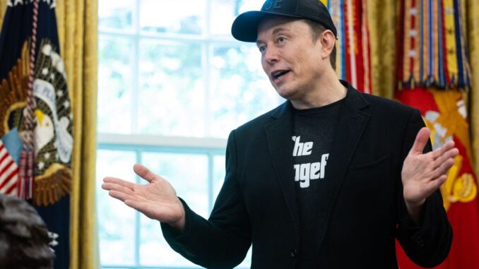 Musk definisce Trump un ingrato “Senza di me avrebbe perso le elezioni”