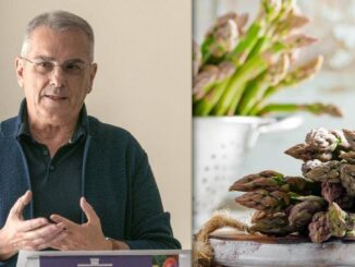 Asparagi amici del cuore della pelle e alleati nella prova costume limmunologo spiega perche