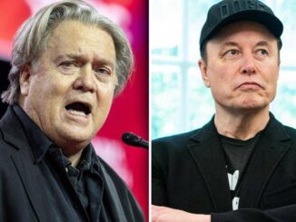 Bannon attacca Musk Immigrato illegale e drogato. La replica Ritardato