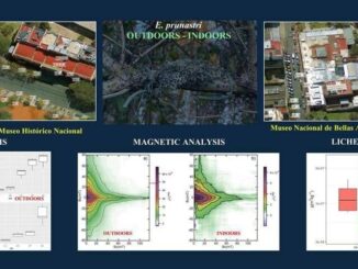 Buenos Aires adotta bio monitoraggio Nature Based foglie e licheni per la tutela dei beni culturali