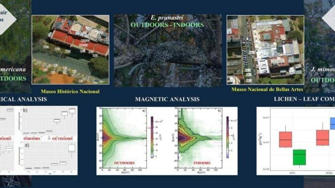 Buenos Aires adotta bio-monitoraggio “Nature-Based”: foglie e licheni per la tutela dei beni culturali