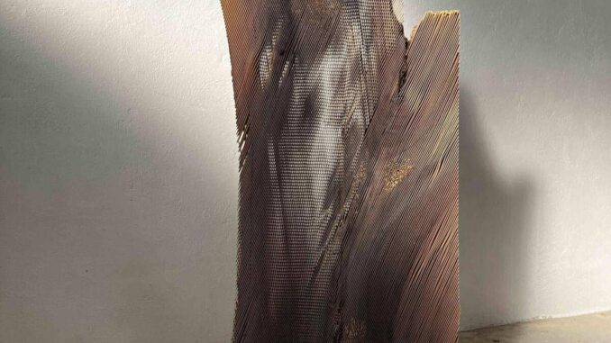 COMUNICATO STAMPA SPONSORIZZATO Perugia la Rocca Paolina ospita Materia il legno di Herbert Golser in dialogo con la pietra e Burri