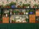 Food a Milano arriva il Basil Bar temporary bistrot dedicato al basilico